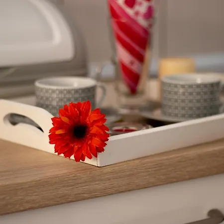 Blaskovic Novigrad (Dalmatia)